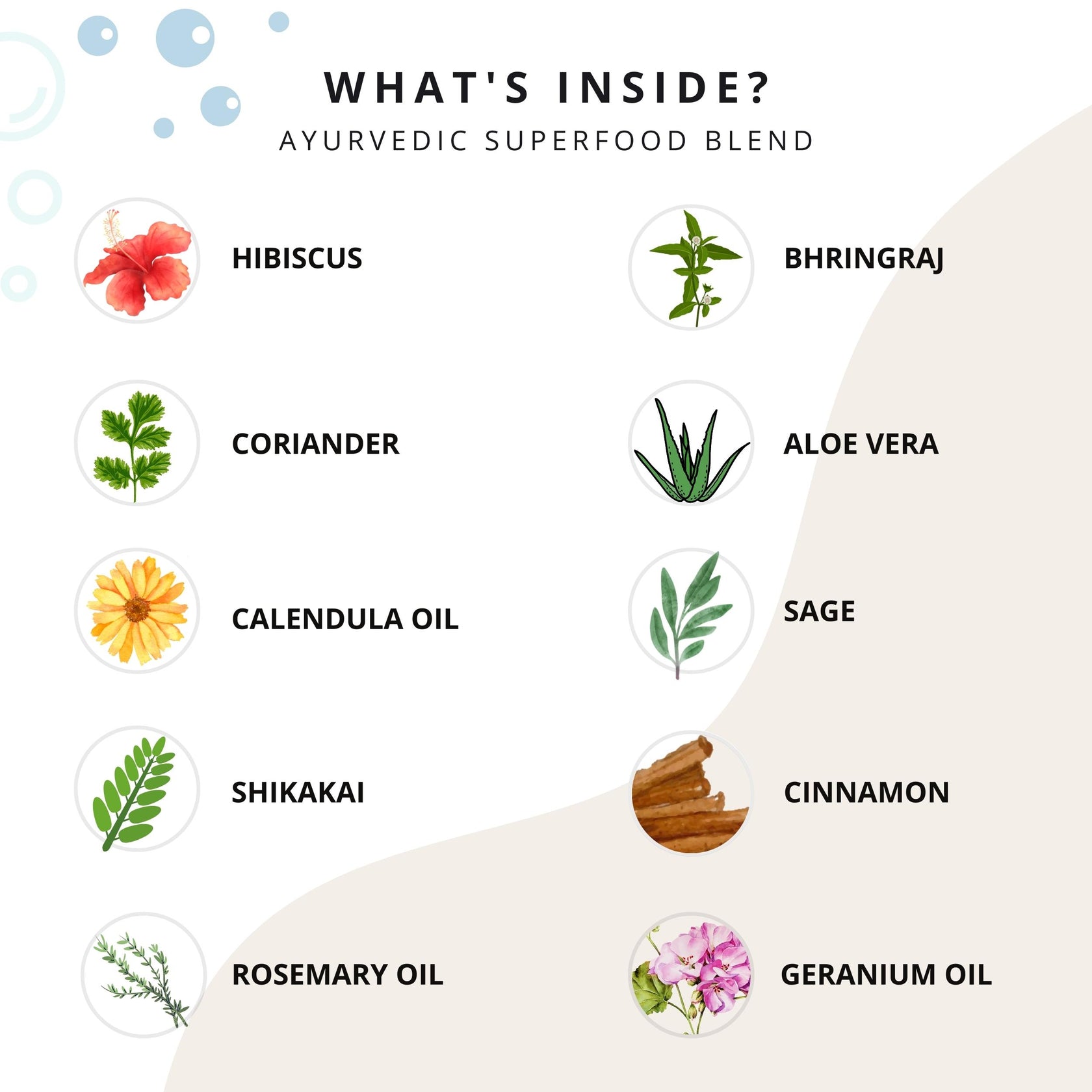 Herbal Shampoo For Oily Scalp Ahe Naturals Ahé Naturals